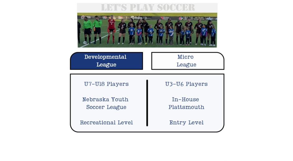 Programs Offered